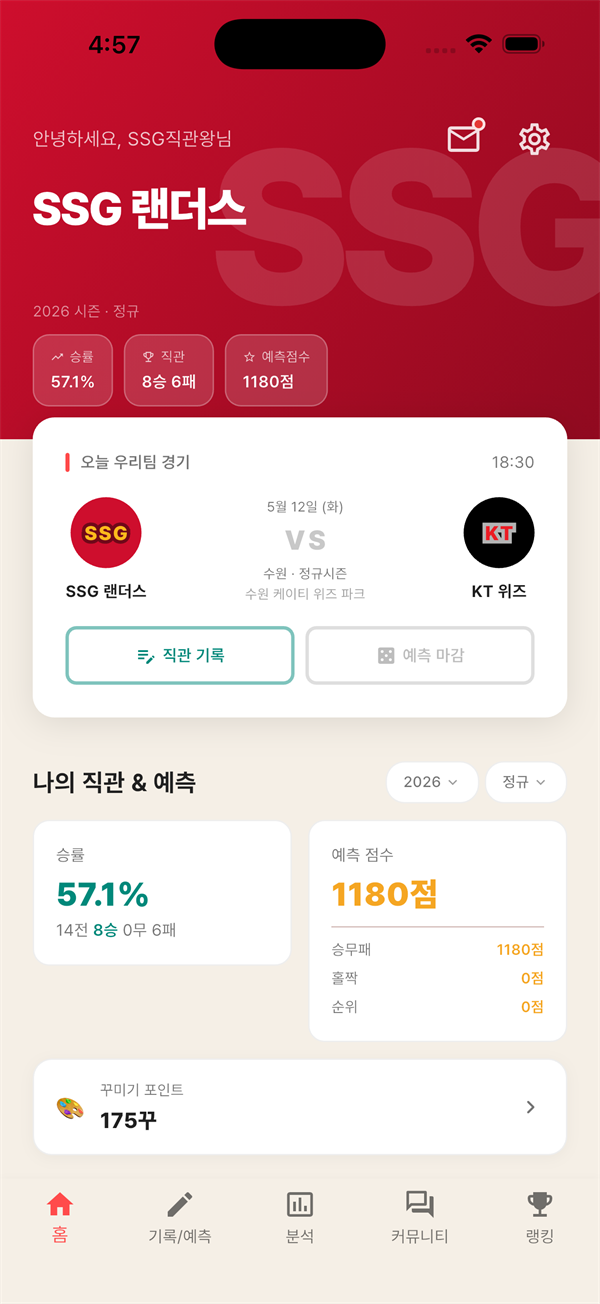 팀6